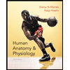 人体解剖和生理学